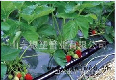 大量PVC管件节水灌溉工具 诚信经营灌溉工具直销图3