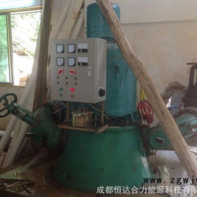 厂价直销10KW双喷枪立式斜击式水轮发电机组 水力发电机 家用水轮发电机