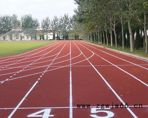 广欧塑胶跑道小学操场中学操场活动中学复合型跑道EPDM+面层喷涂