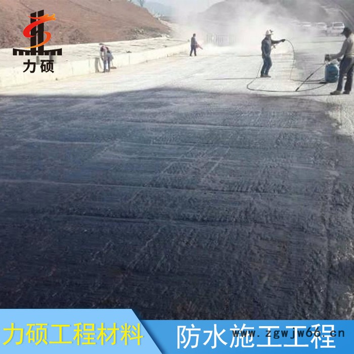 力硕 桥面防水补漏工程 承包桥面涂层防水施工 桥面防水喷涂施工 高性价比图2