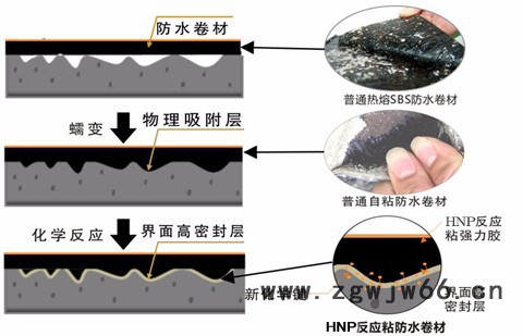 【宏牛防水】新型防水材料反应粘防水卷材图5