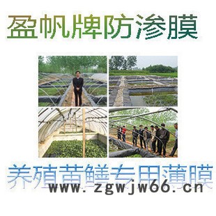 水产养殖黄鳝专用HDPE防渗膜 泥鳅养殖HDPE膜 鱼塘防水材料 防潮材料图2