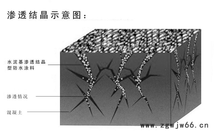 德昌伟业 水泥基渗透结晶防水涂料 防水防潮材料 砂浆防水剂图3