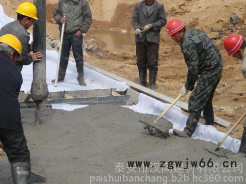 重庆钠基膨润土防水毯,重庆膨润土防水材料供应商图1