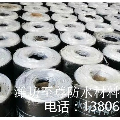 防水    防水材料   SBS 改性沥青防水卷材