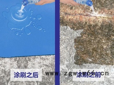 青龙全能防水胶防水**品牌涂料屋面卫生间地下室防水材料图2