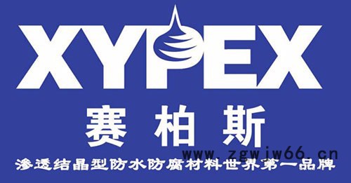 赛柏斯XYPEX水泥基渗透结晶型防水材料 加拿大原装进口浓缩剂涂料价格图2