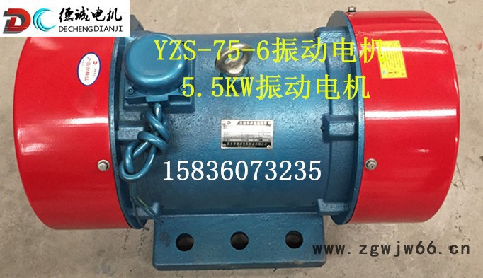 德诚电机 ZDS-75-6振动电机5.5KW振动电机厂家图2