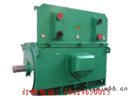 西安西玛IC411变频防爆电机YBE2-225M-2 45KW IP55 30-60Hz图3