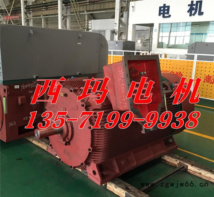 YB2-4503-6 450KW 6KV IP54 ExdⅡBT4 Gb隔爆型防爆电机图3