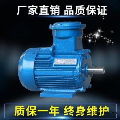 专业加工生产 防爆电机YB200L-4  三相防爆变频电机 防爆电机30kw