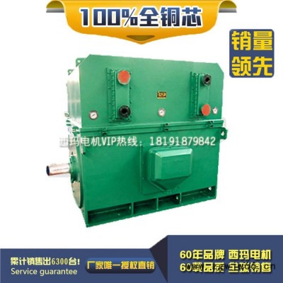 YKK5602-6 1000KW 6KV IP54 风机水泵专用西玛鼠笼型高压电机 西玛YKK 10KV高压电机