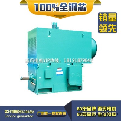 泰富西玛YKS5006-10 400KW 10KV IP54高压电机 西玛YKS10KV高压电机