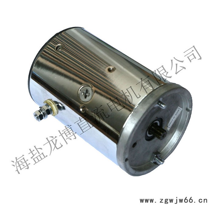 龙博HY61020油泵专用直流电机 12V 1.2KW