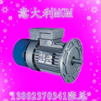 MGM原装进口刹车电机BA100L2-4-3KW