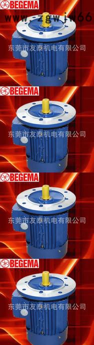 东莞宝戈玛三相异步电机BM100L1-4-2.2kw