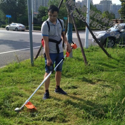 供应绿节牌无刷电机锂电型便携式电动修草机_草坪机_割草机_割灌机