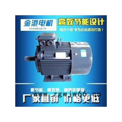 YE2-132M1-6-4kw金港电机  380V 960转 节能高效三相异步电机