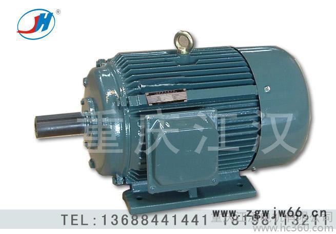 重庆江汉Y系列三相异步电机Y160L-11KW-6极三相异步电机 重庆江汉 领航未来 ** 品质保证图2