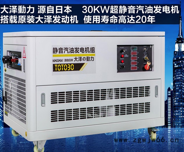 沃尔沃TOTO30,进口30kw汽油发电机组图2