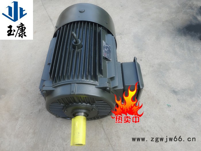 河北玉康Y系列三相异步电机Y802-2级/1.1KW/2800转/380V国标铜线