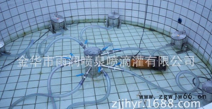 **BGQCD-20-10不锈钢小型波光跳泉喷头  专业制作  价格优惠，小型波光跳泉图2