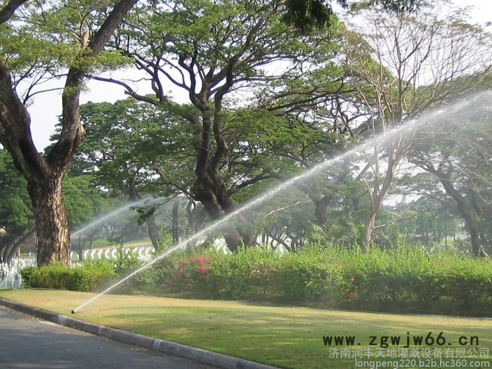 6504喷头-美国雨鸟喷头进口RAIN BIRD-地埋式旋转喷头