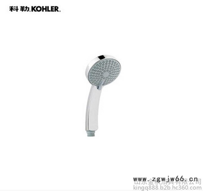 科勒Kohler翠思豪华四功能大喷头手持花洒头K-R4111T图3