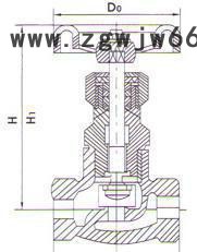 上海申欧通用泵阀厂J11B-25C-DN50内丝口直通式氨用截止阀