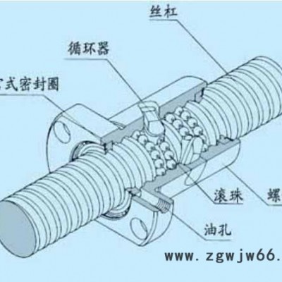 高精度冷轧台稳T-WIN滚珠丝杆带TBI标准螺母