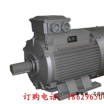 YD280S-4/2 60/72KW IP44 380V 西玛变极多速电动机