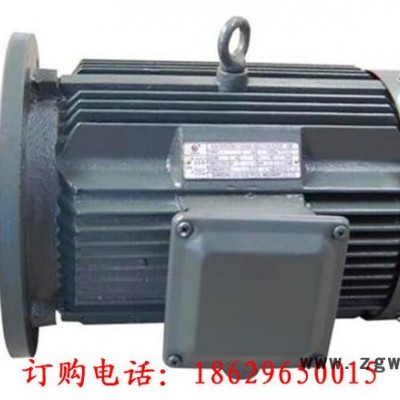 Y355L1-10 160KW 380V IP23 西安西玛电机 交流电动机