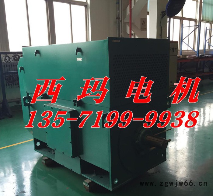 YHP5601-6 800KW 6KV封闭笼型转子三相异步电动机 磨煤机专用图3