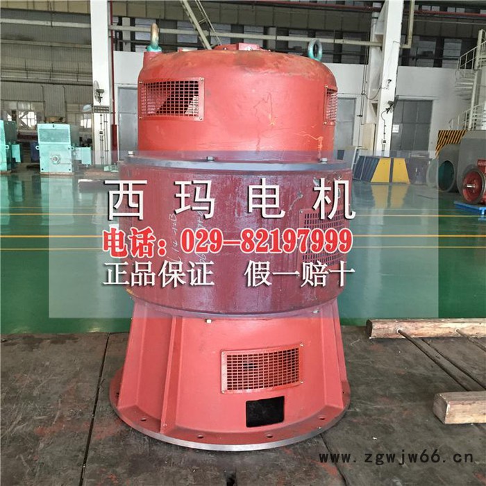 JRL-13-8 245KW 735转三相绕线电动机电机保养图3