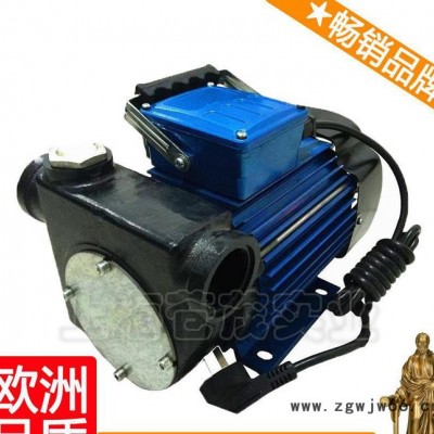 柴油泵发展 12v抽油水泵 12v电动机油泵 DYB周