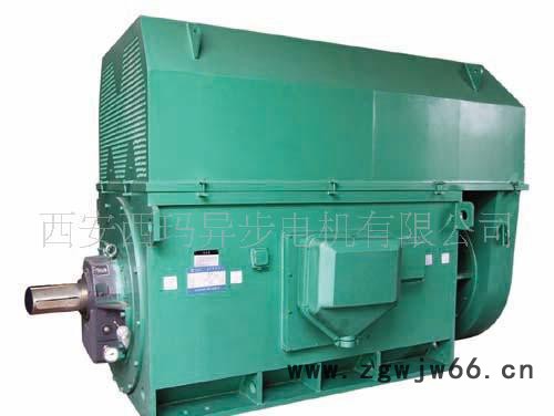 电机维修大全 西玛电机YR6304-10 1250KW 6KV 590R高压电动机图3