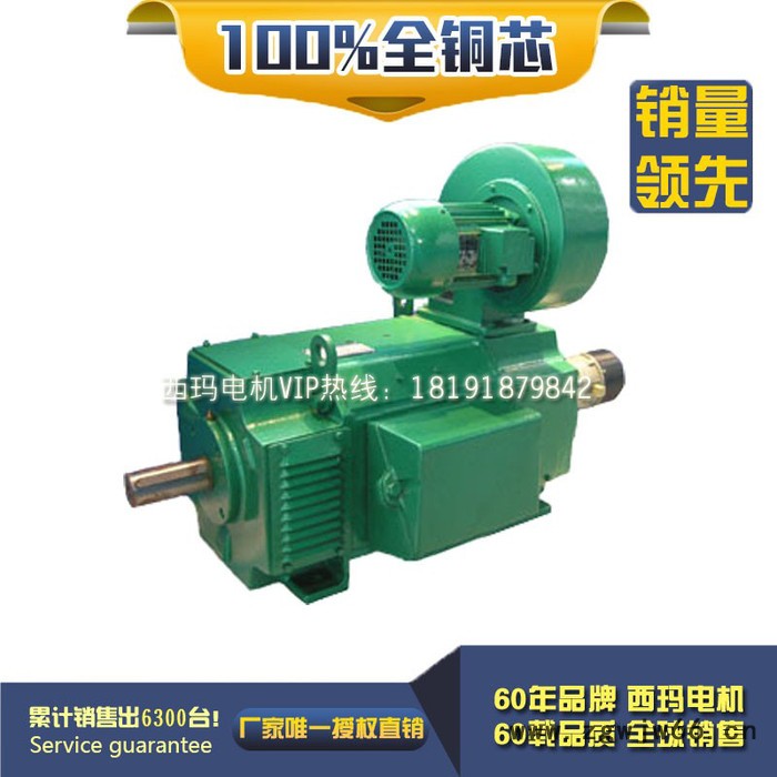 Z2-42 1.1KW 220V 3000转 D2/T2 西玛Z2直流电动机