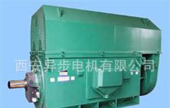 Y系列Y4506-2 630KW/10KV西安西玛电机三相异步电动机图1