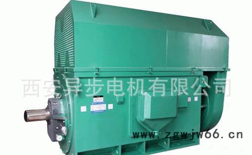 西安电机厂西玛电机 YR8002-4 5000KW 6KV三相异步电动机图2