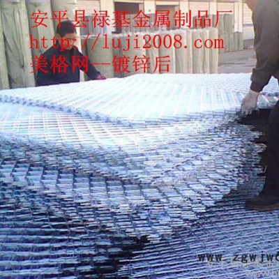 供应禄基厂生产的2*4米建筑网片  护栏 护栏网片 金属网栏 金属网