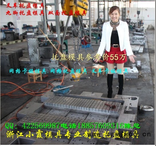 浙江塑胶模具 1.2m九脚托盘模具  田子注塑托盘模具专业加工图3