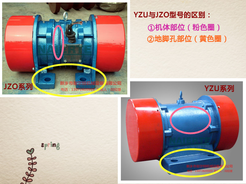 Y+J对比照