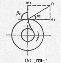 径向叶片图片