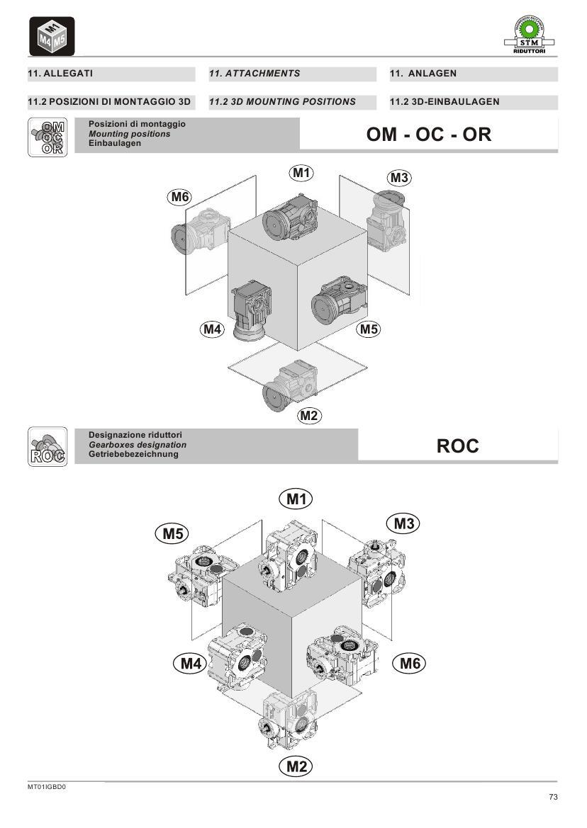 意大利STM03- (19)