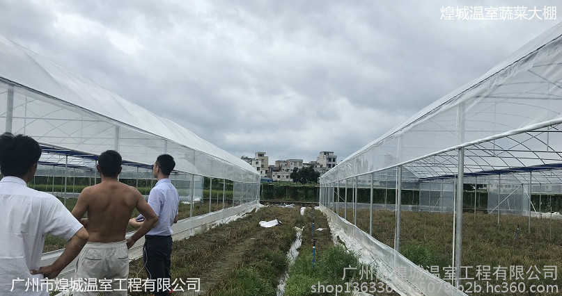 蔬菜大棚温室工程建造