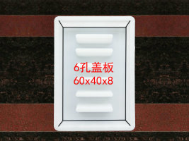 6孔盖板60<i></i>x40x8