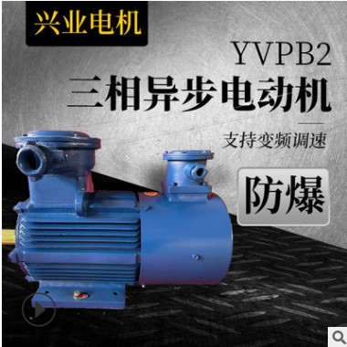 批发零售变频调速电动机防爆电机 YVPB2三相异步电动机 厂家直营图1