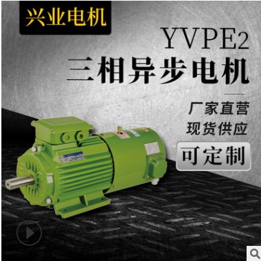 厂家批发三相异步电机YVPE2高速机械设备电动机立卧式直流电机图2