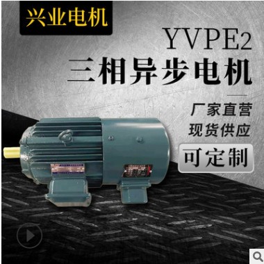 现货供应YVPE2三相异步电动机变速立卧式铜芯电机图1