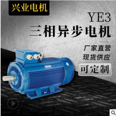 YE3系列卧式三相异步电动机YDT YEJ中速电动机 轻工机械电机图2